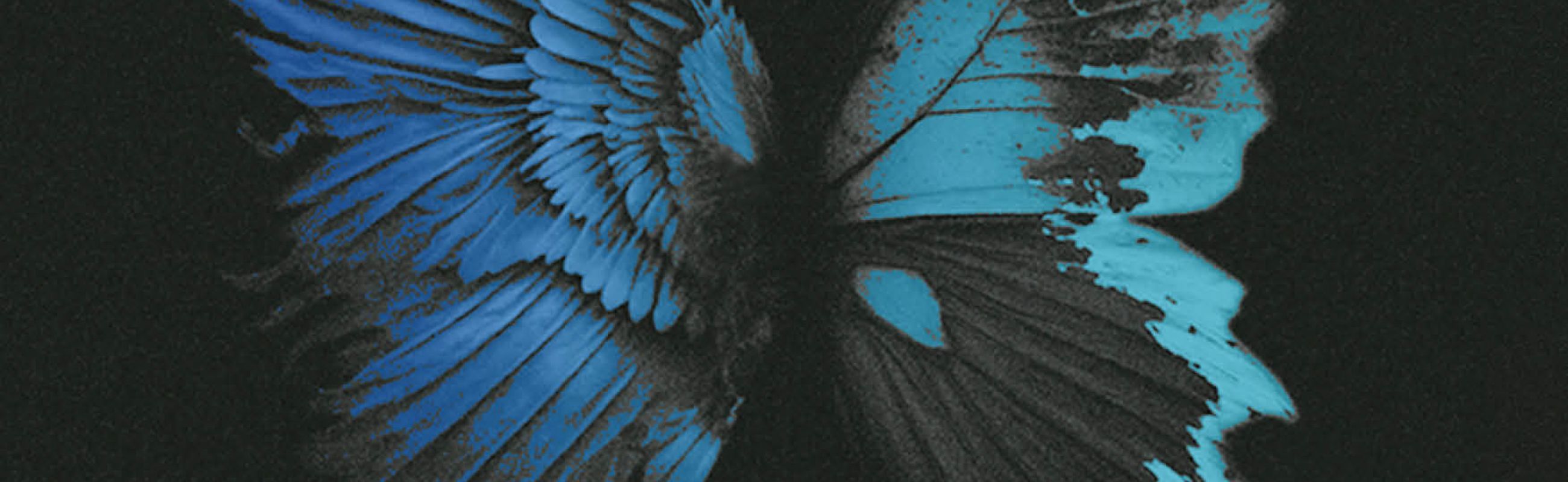 AGAINST THE CURRENT POSTER