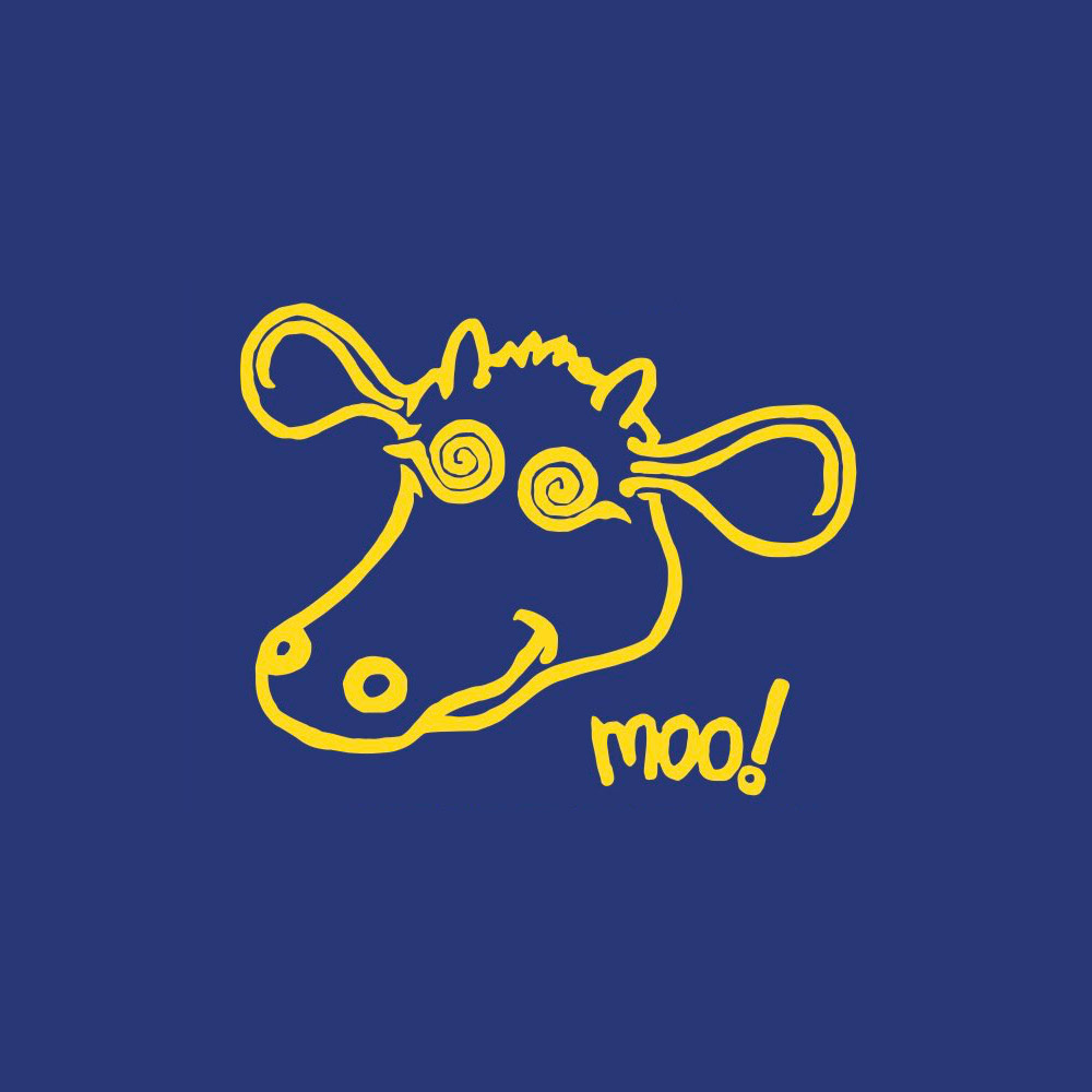 INSPIRAL CARPETS PRESS