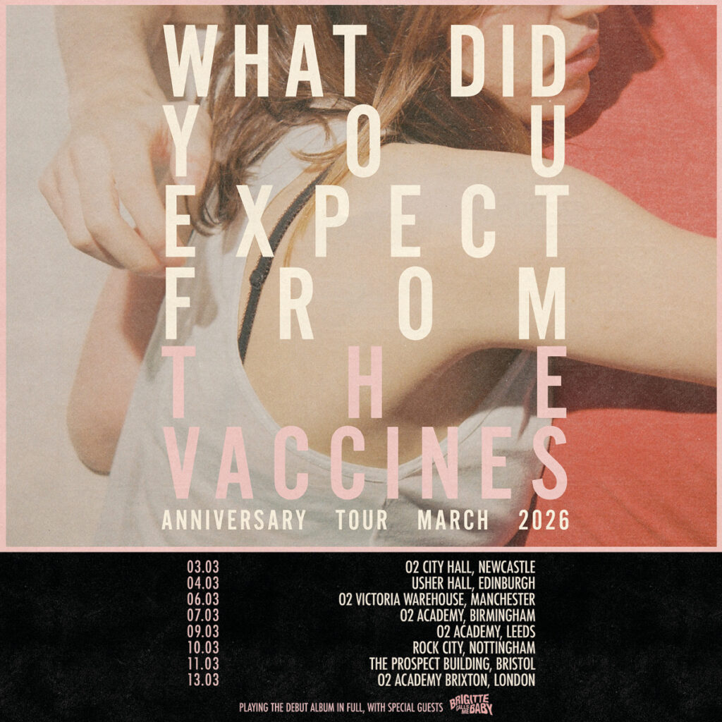 THE VACCINES POSTER